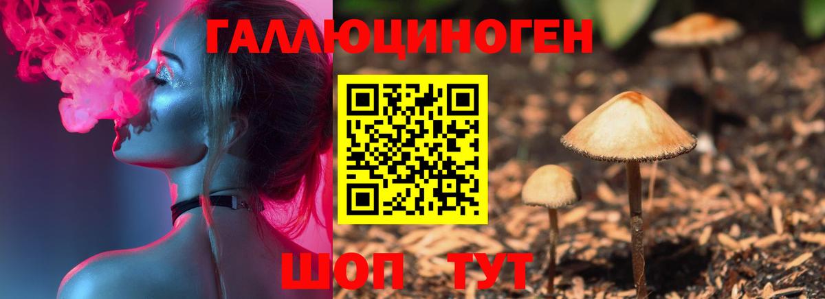 Псилоцибиновые грибы Psilocybine cubensis Снежинск