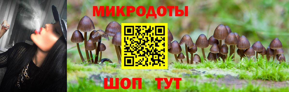 Галлюциногенные грибы MAGIC MUSHROOMS  Вход с VPN  Снежинск 